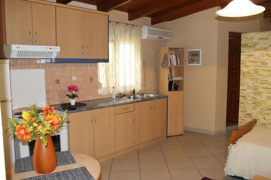 Roidis Apartments Chania  ภายนอก รูปภาพ